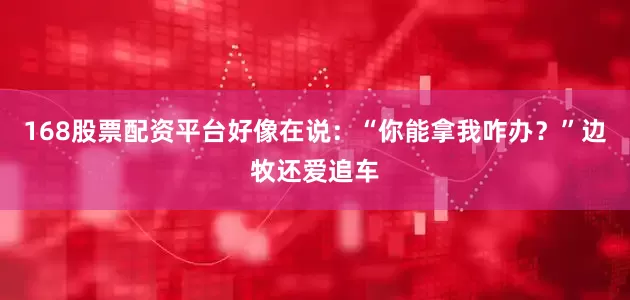 168股票配资平台好像在说：“你能拿我咋办？”边牧还爱追车
