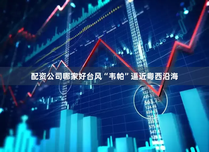 配资公司哪家好台风“韦帕”逼近粤西沿海